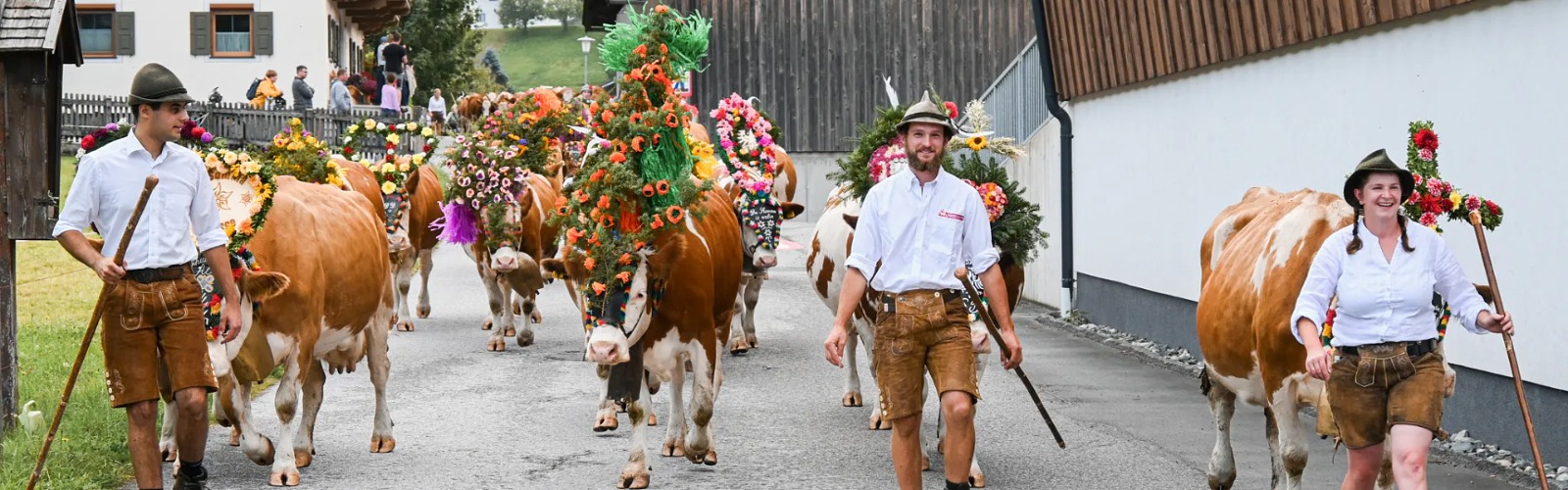 Austrian farmers proudly wear Lederhosen during the Almabtrieb festival.