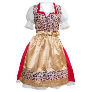 Dirndl Dress Vintage Rose Pink with Intricate Embroidery - Mr Lederhosen